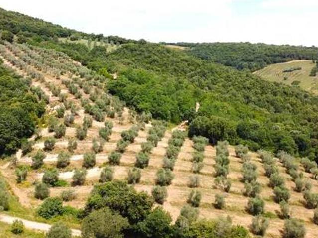 Rustico in vendita a Campagnatico, Toscana