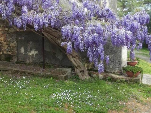 Rustico in vendita a Campagnatico, Toscana
