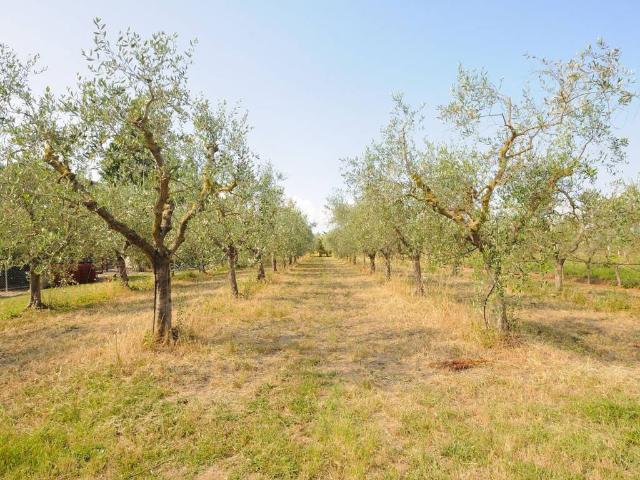 Rustico in vendita a Campiglia Marittima, Toscana
