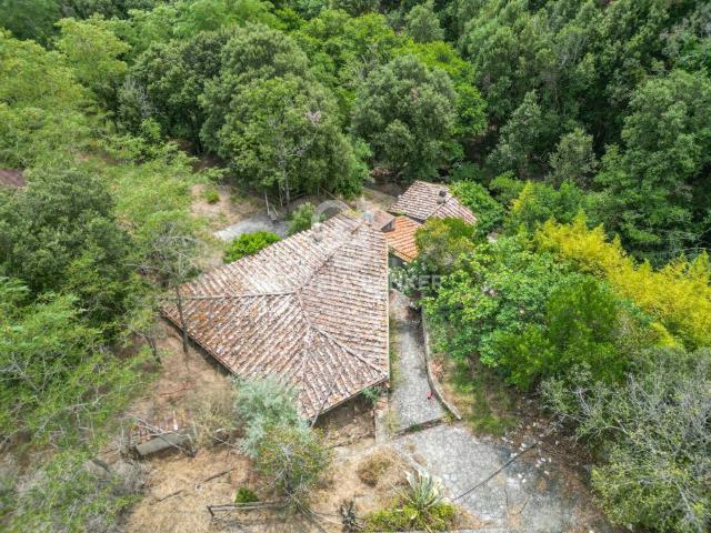 Rustico in vendita a Campo nell'Elba, Sant'ilario