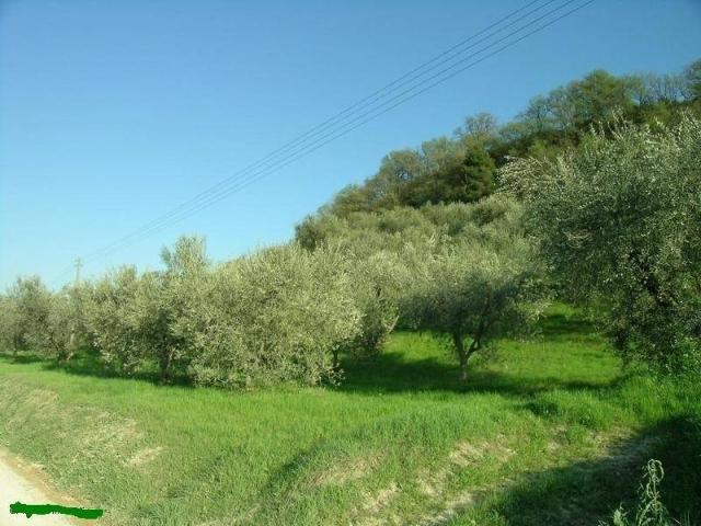 Rustico in vendita a Marche, Fermo