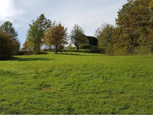 Rustico in vendita a Poggio, Camporgiano
