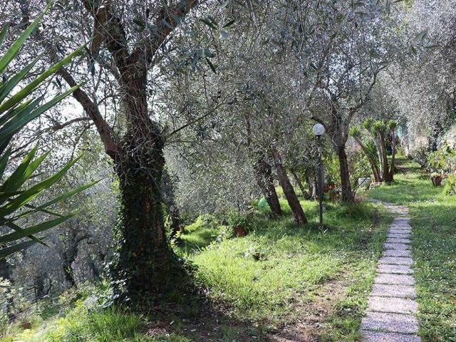 Rustico in vendita a Camporosso, Liguria