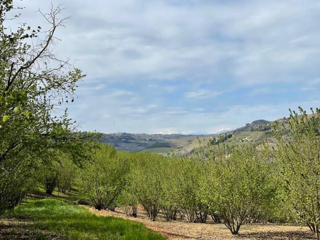 Rustico in vendita a Piemonte, Asti