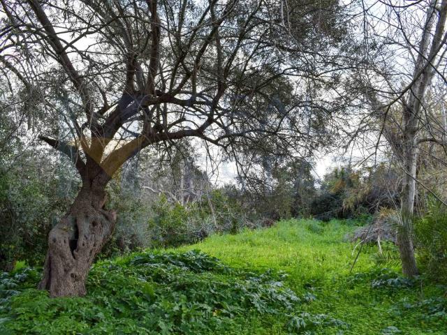 Rustico in vendita a Noto, Sicilia