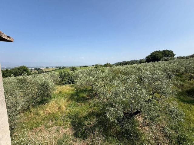 Rustico in vendita a Cannara, Umbria