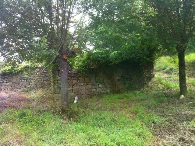 Rustico in vendita a Cannara, Umbria