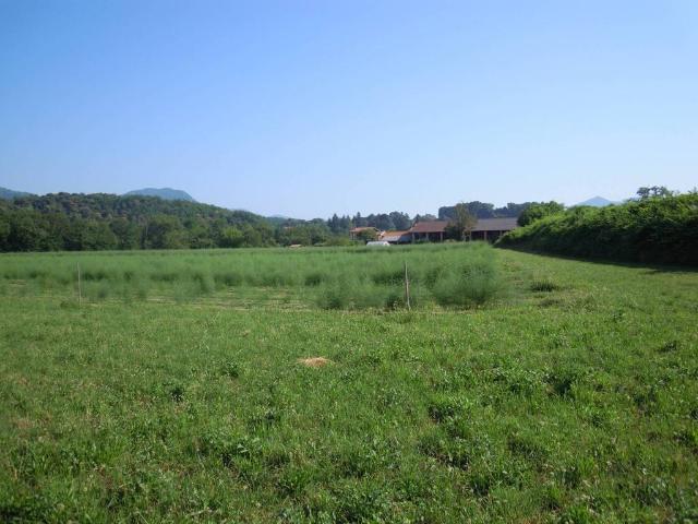 Rustico in vendita a Comunità Montana del Piambello, Cantello