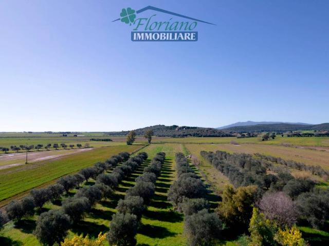 Rustico in vendita a Giardino, Capalbio