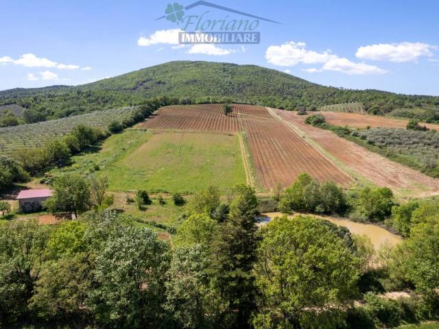Rustico in vendita a Capalbio, Toscana