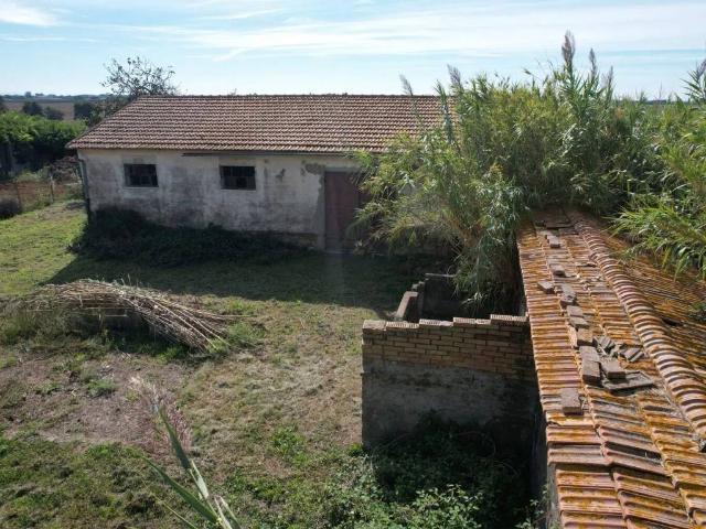 Rustico in vendita a centro G, Capalbio