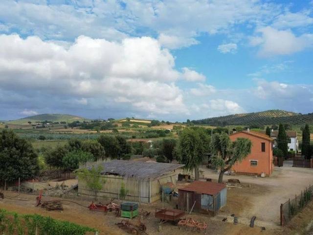 Rustico in vendita a Capalbio, Toscana