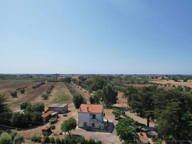 Rustico in vendita a Capalbio, Toscana