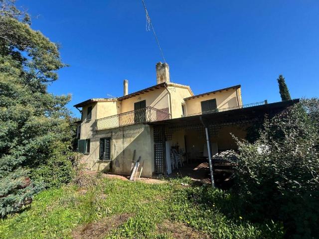 Rustico in vendita a Capalbio, Toscana