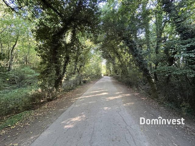 Rustico in vendita a Capalbio, Toscana