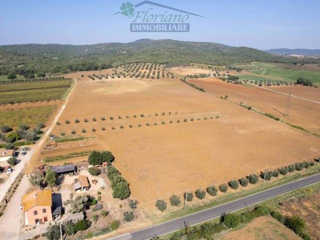 Rustico in vendita a Capalbio, Toscana