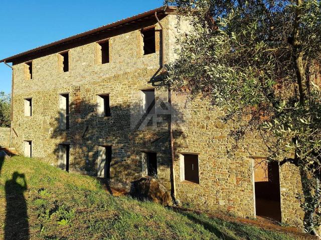 Rustico in vendita a Capannori, Toscana