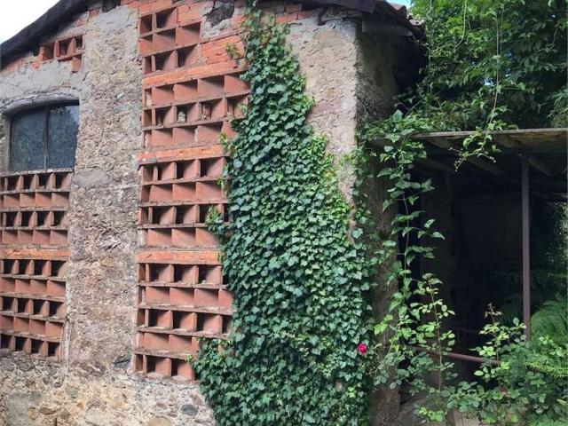 Rustico in vendita a Capannori, Toscana