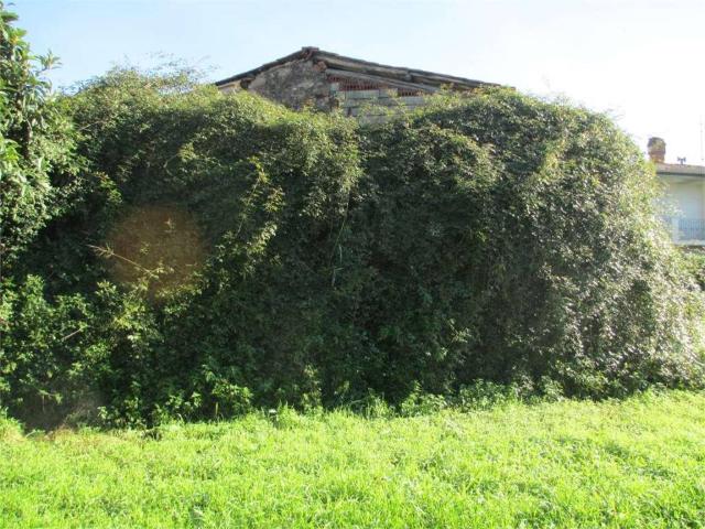 Rustico in vendita a Tassignano, Capannori