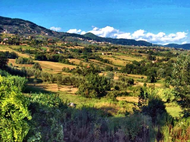 Rustico in vendita a Capannori, Toscana