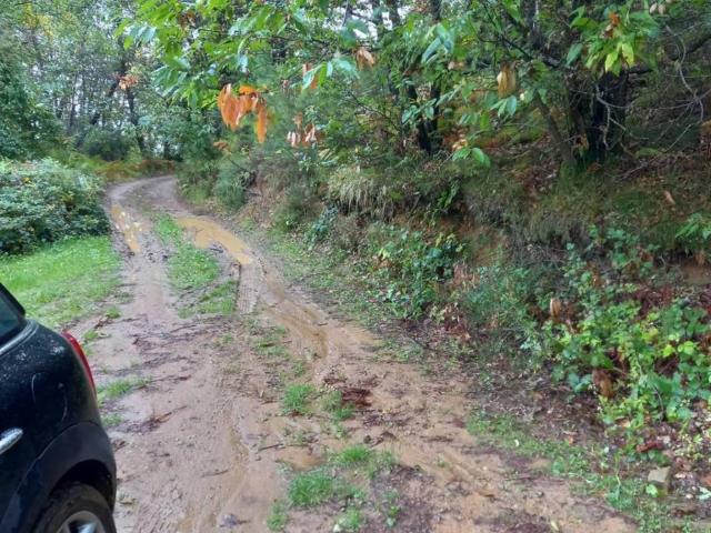 Rustico in vendita a Tofori, Capannori