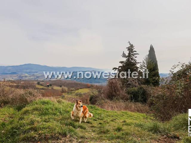 Rustico in vendita a Caprese Michelangelo, Toscana