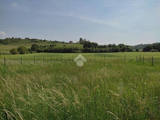 Rustico in vendita a Caprino Veronese, Veneto