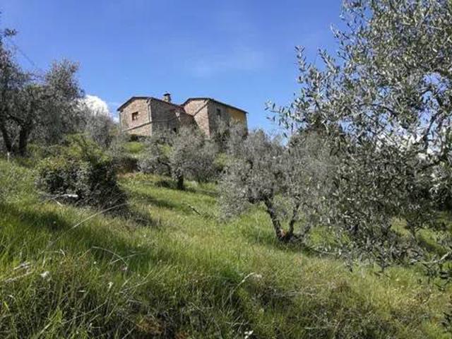 Rustico in vendita a Carmignano, Toscana