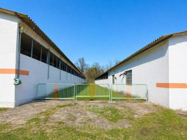Rustico in vendita a Travaino, Caronno Varesino