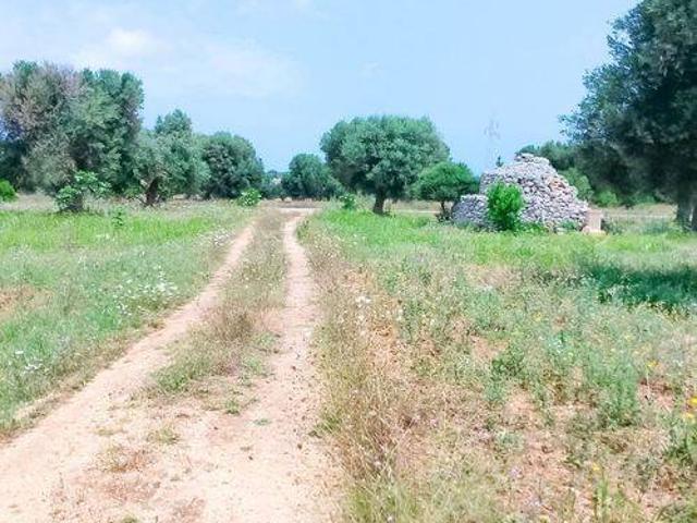 Rustico in vendita a Carovigno, Brindisi