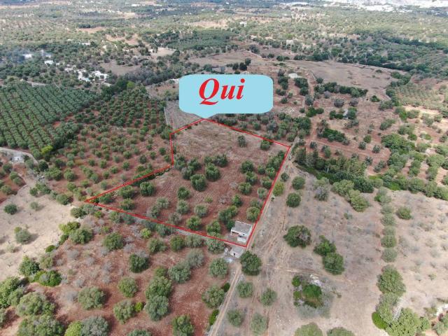 Rustico in vendita a Puglia, Brindisi