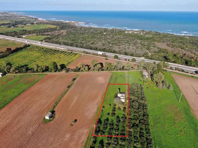 Rustico in vendita a Puglia, Brindisi