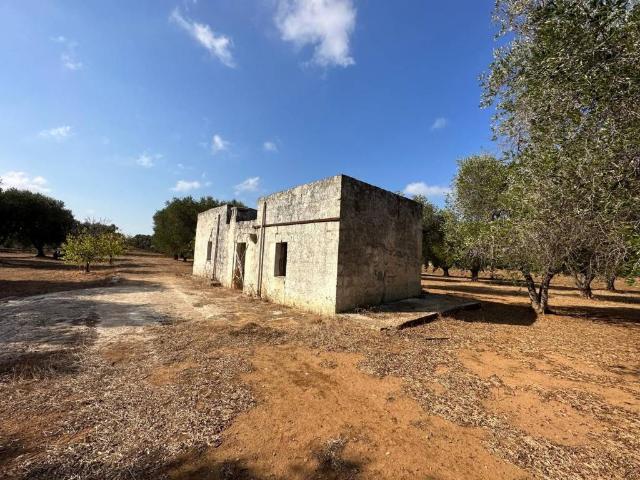 Rustico in vendita a Puglia, Brindisi