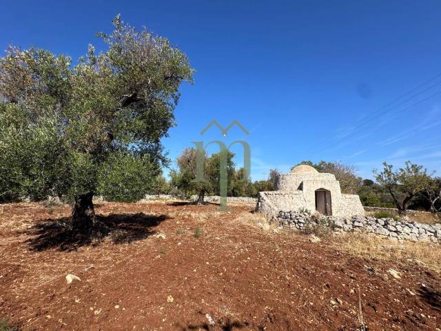 Rustico in vendita a Puglia, Brindisi