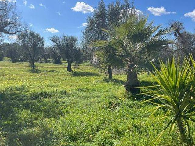 Rustico in vendita a Puglia, Brindisi