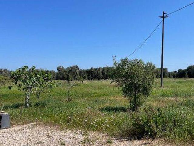 Rustico in vendita a Carovigno, Brindisi