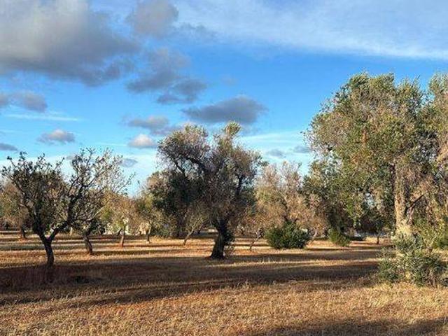 Rustico in vendita a Puglia, Brindisi