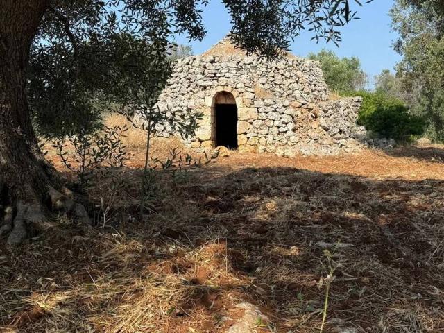 Rustico in vendita a Puglia, Brindisi