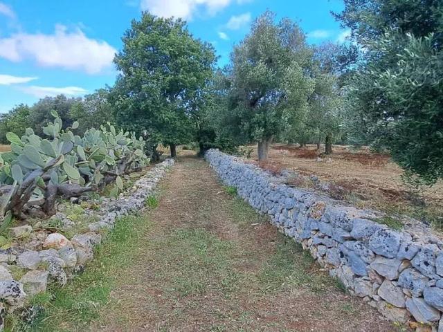 Rustico in vendita a Puglia, Brindisi