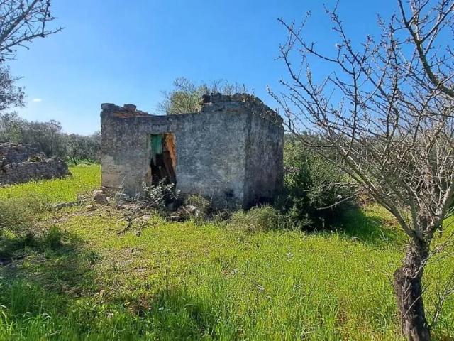 Rustico in vendita a Puglia, Brindisi