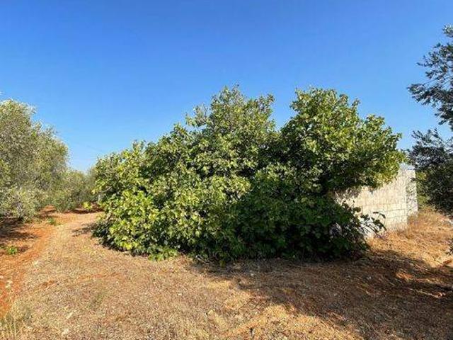 Rustico in vendita a Puglia, Brindisi