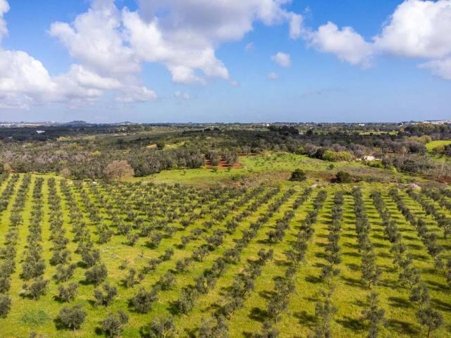Rustico in vendita a Puglia, Brindisi