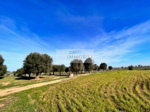 Rustico in vendita a Serranova, Carovigno