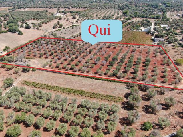 Rustico in vendita a Puglia, Brindisi