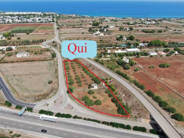 Rustico in vendita a Puglia, Brindisi