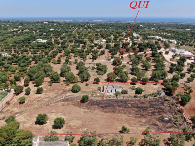 Rustico in vendita a Contrada Spierti, Puglia