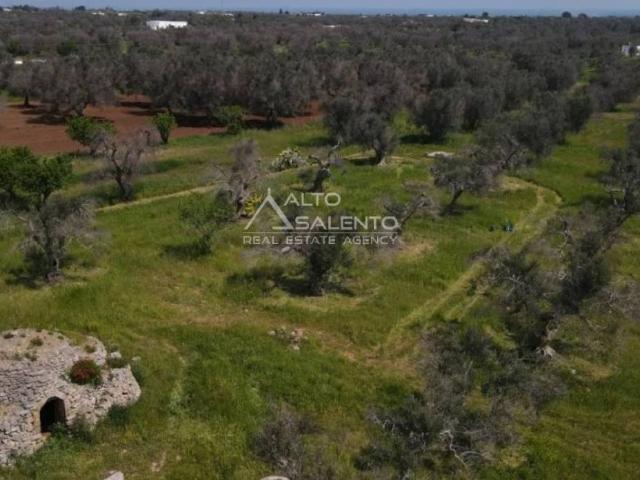 Rustico in vendita a Puglia, Brindisi