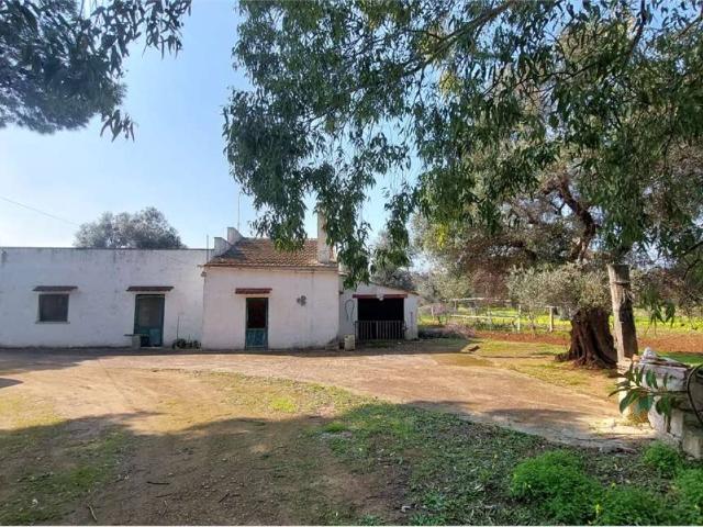 Rustico in vendita a Puglia, Brindisi