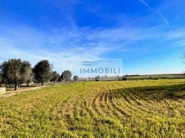 Rustico in vendita a Puglia, Brindisi