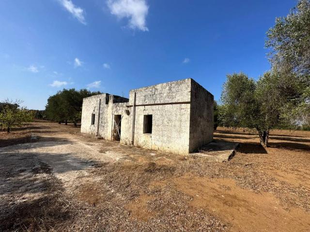 Rustico in vendita a Puglia, Brindisi